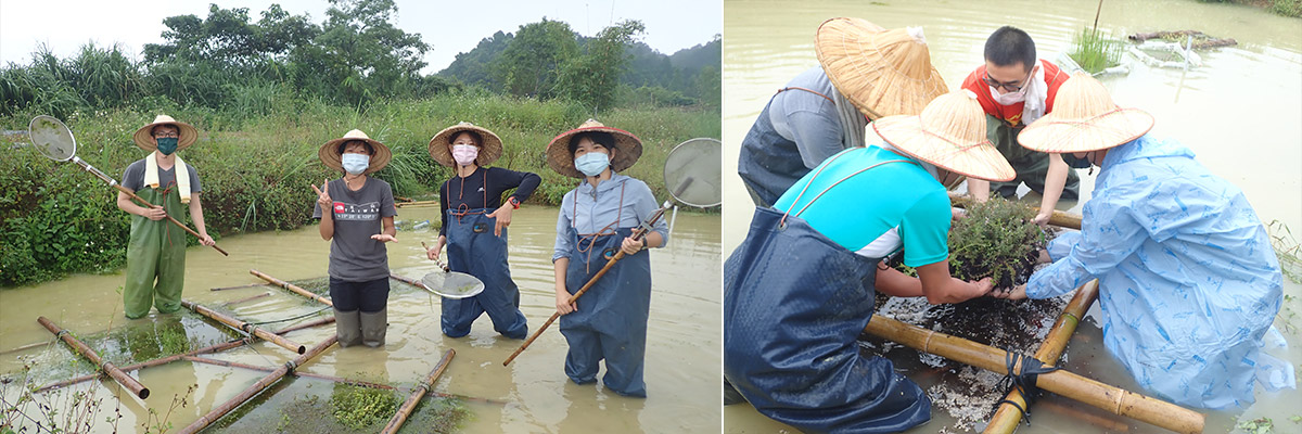 Shuanglianpi working holidays