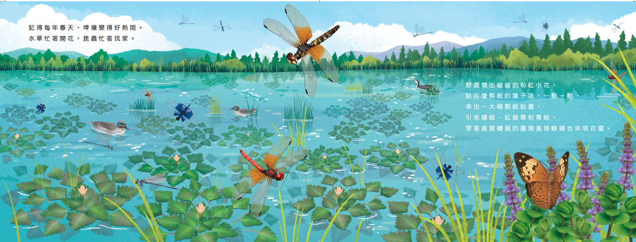 The Pond from Childhood