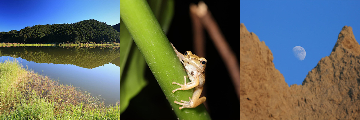 A good photo tells everything, and so does a good ecological photo