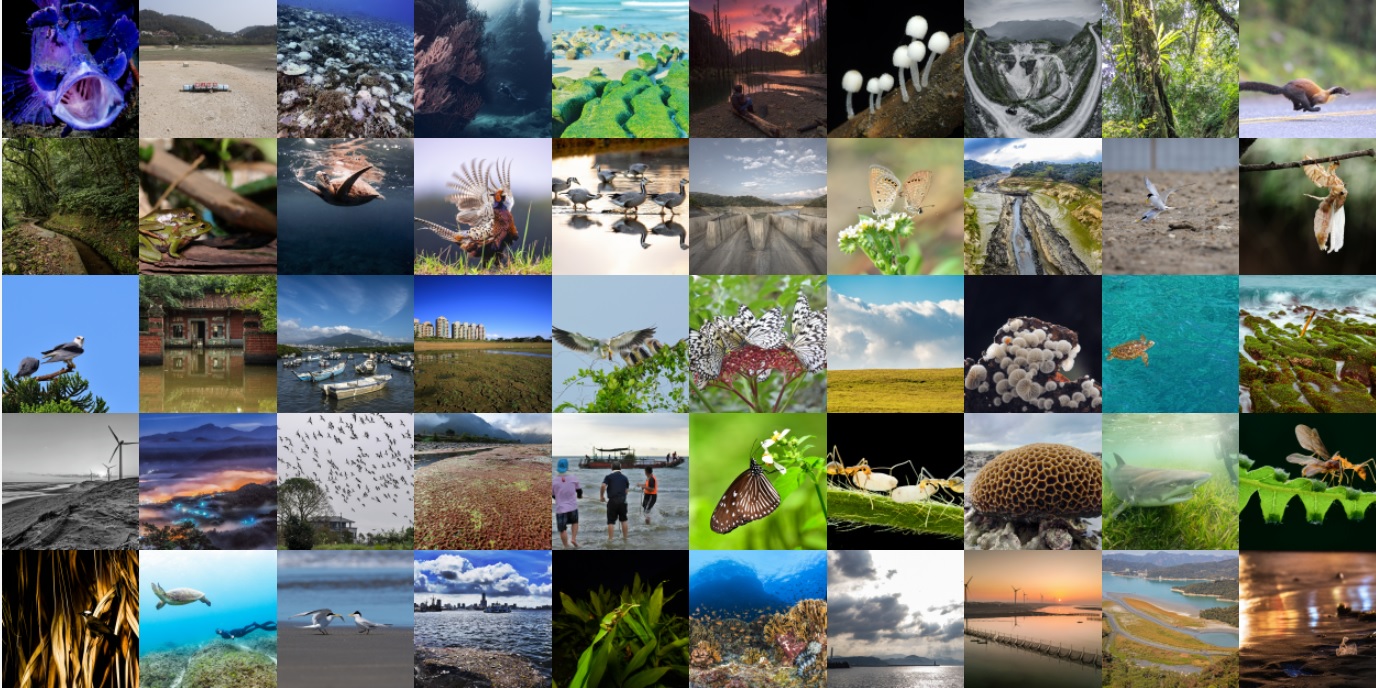 The 50 Finalists in the Ecological Sustainability Category