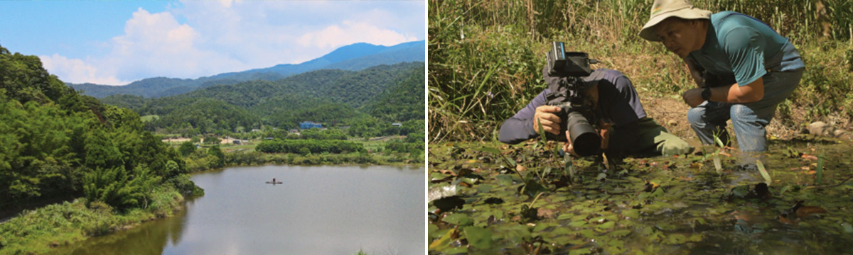 The ecological sustainability photography issue
