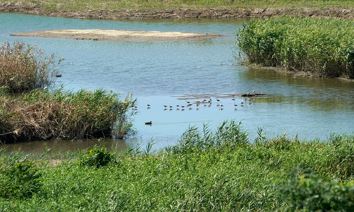 Guandu Nature Park