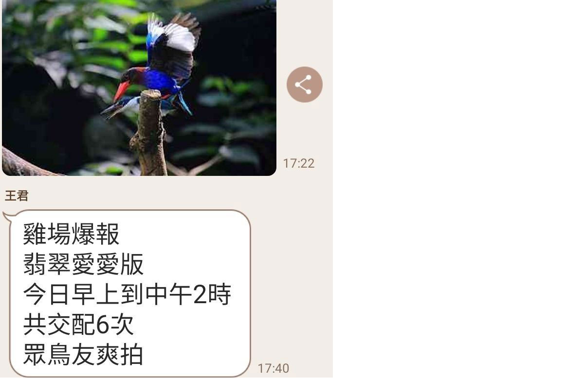 鳥類誘拍問題多
