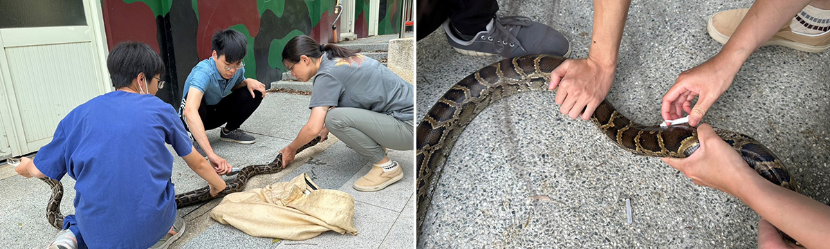 金門野生動物救傷站