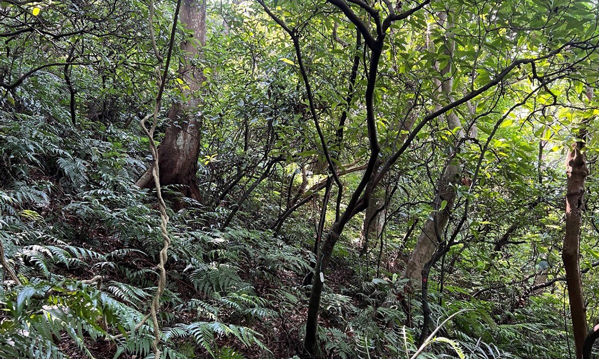 富陽自然生態公園