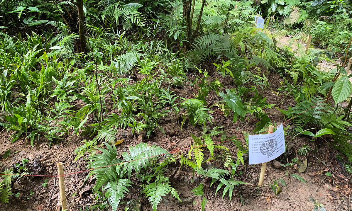 富陽自然生態公園