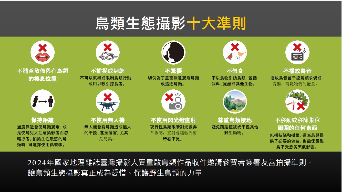國家地理雜誌臺灣攝影大賽