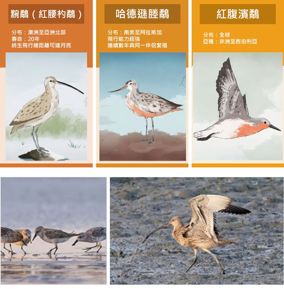 勇闖天際線